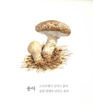 [중고] 버섯 먹고 맴맴 | 알라딘 [중고] 버섯 먹고 맴맴