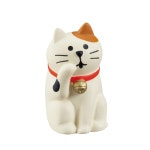 POOM | concombre 그루밍 고양이 concombre 그루밍 고양이