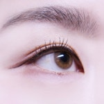 큐비즘 퍼스핏 위티 브라운(1P)-0.00 렌즈 | 렌즈미 큐비즘 퍼스핏 위티 브라운(1P)-0.00 렌즈 | 렌즈미 