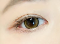 아이포캣 브라운(2P)-0.00 렌즈 | 렌즈미 아이포캣 브라운(2P)-0.00 렌즈 | 렌즈미 