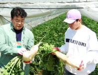 경기 용인 현장 포토 ｡･*･:=͟͟͞͞(♡＾-＾♡)  : 현장포토 : SBS 경기 용인 현장 포토 ｡･*･:=͟͟͞͞(♡＾-＾♡) 