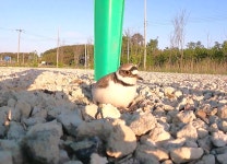 돌아온 황금복 : 이혜숙, 심혜진 등장에 귀신 본 듯 경악 : SBS 이혜숙, 심혜진 등장에 귀신 본 듯 경악