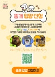 TV 동물농장 : 똥개 입양 신청 : SBS TV 동물농장