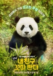 [오늘은 너로 정했다] 안녕, 내 친구 꼬마 판다 : 금주의 영화 정보 : SBS [오늘은 너로 정했다] 안녕, 내 친구 꼬마 판다