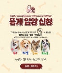 TV 동물농장 : 똥개 입양 신청 : SBS TV 동물농장
