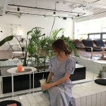 브랜디 - 여성 전문 쇼핑앱