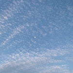 브랜디 - 여성 전문 쇼핑앱