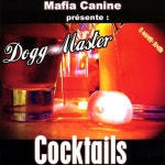 C˙est l˙été/Dogg Master(독 마스터) - 벅스 C˙est l˙été / Dogg Master(독 마스터)