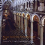 Baroque Masterworks For Solo Instruments Vol. 5 - 벅스 Baroque Masterworks For Solo Instruments Vol. 5 / Members of the St.... 