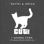 I Wanna Funk (Funkatron Remix) /Mattei & Omich - 벅스 I Wanna Funk (Funkatron Remix) / Mattei & Omich