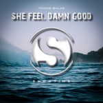 She Feel Damn Good /Tomas Balaz - 벅스 She Feel Damn Good / Tomas Balaz