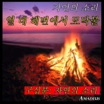 열 대 해변에서 모닥불: 자연의 소리 - 벅스 열 대 해변에서 모닥불: 자연의 소리 / Amadeus