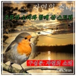 조류의 소리와 함께 산 스트림: 자연의 소리 - 벅스 조류의 소리와 함께 산 스트림: 자연의 소리 / Amadeus