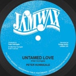 Untamed Dub /Peter Hunnigale - 벅스 Untamed Dub / Peter Hunnigale
