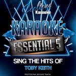 Made in America (Originally Performed by Toby Keith [Karaoke Version])/Cooltone Karaoke - 벅스 Made in America (Originally... 