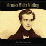 Strauss Waltz Medley/Johann Strauss Orchestra(요한 스트라우스 오케스트라) - 벅스 Strauss Waltz Medley / Johann Strauss Orchestra... 