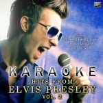 Burning Love (In the Style of Elvis Presley) [Karaoke Version] /Ameritz Karaoke Club - 벅스 Burning Love (In the Style of Elvis... 