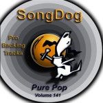 Pure Pop Vol. 141 - 벅스 Pure Pop Vol. 141 / Karaoke All-Stars