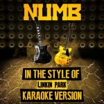 Numb (In the Style of Linkin Park) [Karaoke Version] - Single - 벅스 Numb (In the Style of Linkin Park) [Karaoke Version]... 