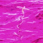To Heart /Anomali - 벅스 To Heart / Anomali