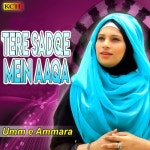 Tere Sadqe Mein Aaqa/Umm e Ammara - 벅스 Tere Sadqe Mein Aaqa / Umm e Ammara