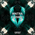 Cosmic/WNTRA - 벅스 Cosmic / WNTRA