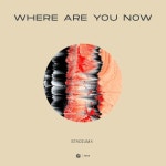 Where Are You Now (Extended Mix)/Stadiumx - 벅스 Where Are You Now (Extended Mix) / Stadiumx