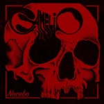 Nocebo - 벅스 Nocebo / Camelio
