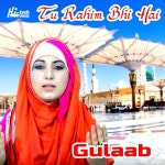 Tu Rahim Bhi Hai/Gulaab - 벅스 Tu Rahim Bhi Hai / Gulaab