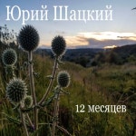 Юрий Шацкий: 12 месяцев - 벅스 Юрий Шацкий: 12 месяцев / Юрий Шацкий
