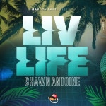 Liv Life (Raw)/Shawn Antoine - 벅스 Liv Life (Raw) / Shawn Antoine