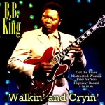 Walkin and Cryin - 벅스 Walkin and Cryin / B.B. King(비비 킹)