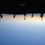 Willows - 벅스 Willows / Nicolas Tritschler