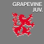 報道/Grapevine(그레이프바인) - 벅스 報道 / Grapevine(그레이프바인)