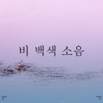 !! 비 백색 소음 !! - 벅스 !! 비 백색 소음 !! / Rain Sounds, Rain for Deep Sleep, Body High