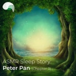 ASMR Sleep Story: Peter Pan (Chapter 3) Pt.7/RelaxMyBrain, RelaxMyBrain Sleep Stories, RelaxMyBrain ASMR - 벅스 ASMR Sleep Story... 
