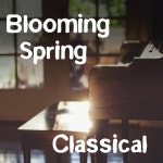 Blooming Spring Classical - 벅스 Blooming Spring Classical / Various Artists
