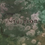 Intuition - 벅스 Intuition / Flowerchild(플라워차일드)