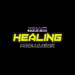 Healing - 벅스 Healing / yanko