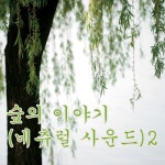 아리랑벅스네츄럴 | 숲의 이야기 (네츄럴 사운드) 2 - 벅스 숲의 이야기 (네츄럴 사운드) 2 / Various Artists