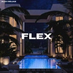 Flex (Extended Mix)/Alex Rojas - 벅스 Flex (Extended Mix) / Alex Rojas