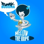 Space/Funky Buddha - 벅스 Space / Funky Buddha