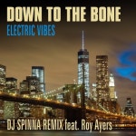 Electric Vibes (DJ Spinna Remix) - 벅스 Electric Vibes (DJ Spinna Remix) / Down To The Bone(다운 투 더 본)