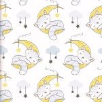The Willow Lullaby/Ronan Thomas - 벅스 The Willow Lullaby / Ronan Thomas
