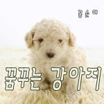 꿈꾸는 강아지 - 벅스 꿈꾸는 강아지 / 꽁순이