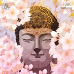 dharmadhatu - 벅스 dharmadhatu / T. Check