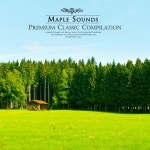 명상과 평화로운 마음을 위한 클래식 피아노 (명상 테라피) - 벅스 명상과 평화로운 마음을 위한 클래식 피아노 (명상 테라피) / Various Artists