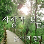 숲속소리와 함께하는 아기 자장가 - 벅스 숲속소리와 함께하는 아기 자장가 / 자장가 모음