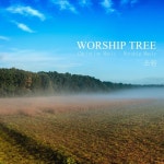 소원/워십트리(WorshipTree) - 벅스 소원 / 워십트리(WorshipTree)