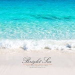 풀잎 이슬/인더레인 - 벅스 풀잎 이슬 / 인더레인